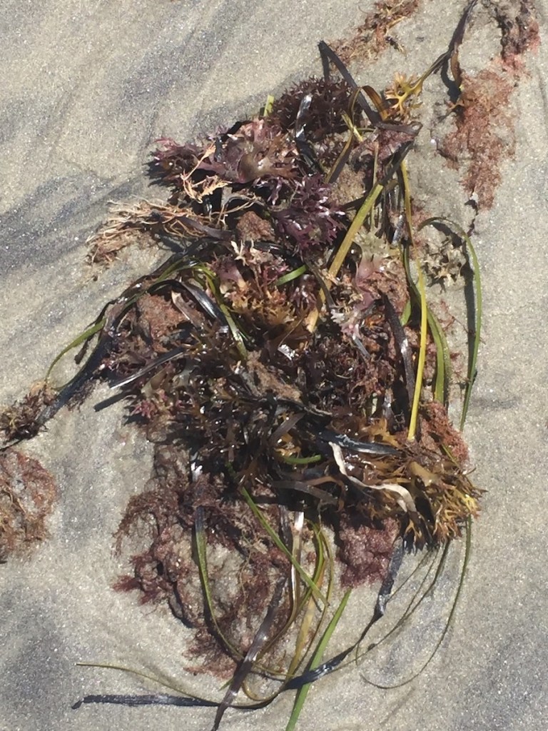 Block Island library, Block Island, Rhode Island